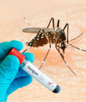 Teste Dengue