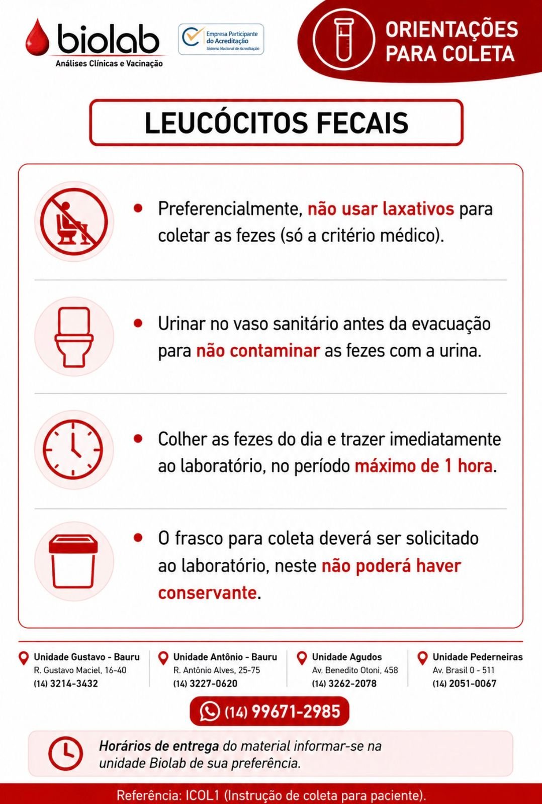 Leuc�citos Fecais